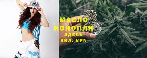 крисы Абаза