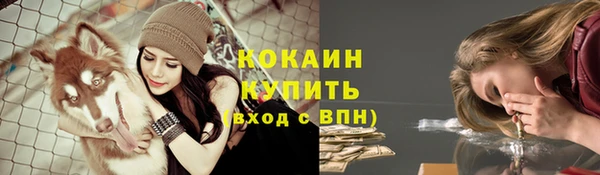 стаф Абдулино