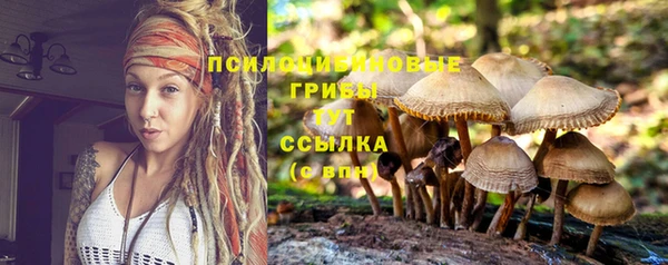 стаф Абдулино