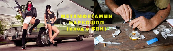 крисы Абаза