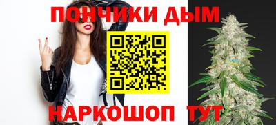 сатива Моздок