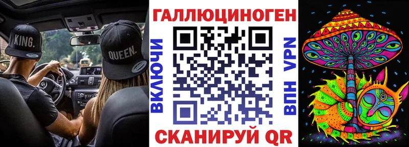 что такое   Казань  Псилоцибиновые грибы Psilocybine cubensis 