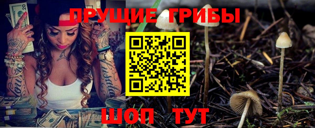 Галлюциногенные грибы Cubensis Казань